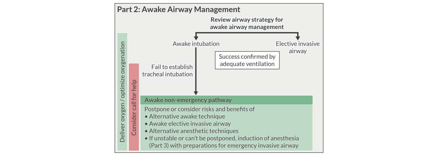 2022 ASA Difficult Airway Algorithm: What’s New? | APEX Anesthesia ...