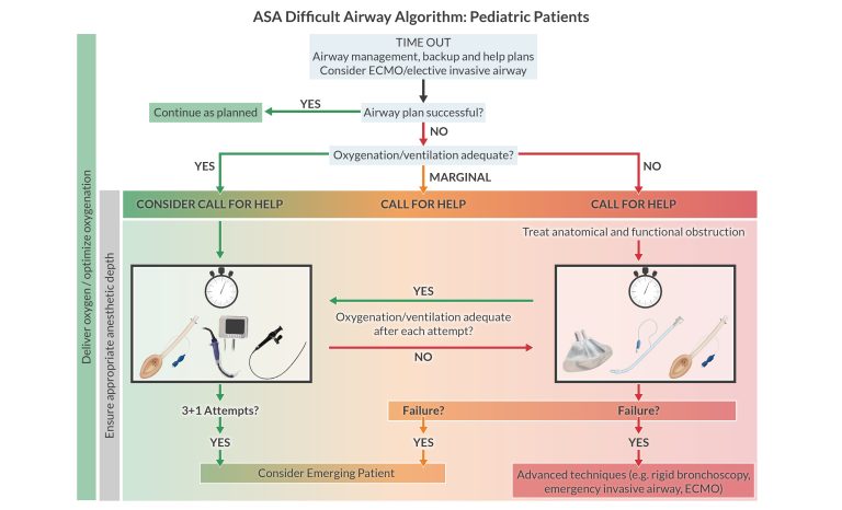 2022 Asa Difficult Airway Algorithm Guidelines Whats New 0942